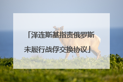 泽连斯基指责俄罗斯未履行战俘交换协议