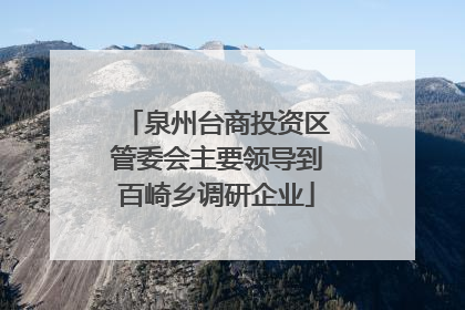 泉州台商投资区管委会主要领导到百崎乡调研企业