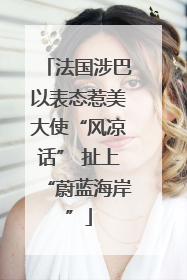 法国涉巴以表态惹美大使“风凉话” 扯上“蔚蓝海岸”