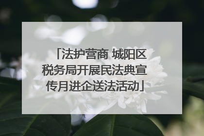 法护营商 城阳区税务局开展民法典宣传月进企送法活动