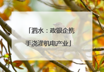 泗水：政银企携手浇灌机电产业