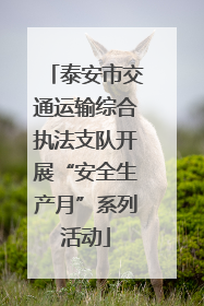 泰安市交通运输综合执法支队开展“安全生产月”系列活动