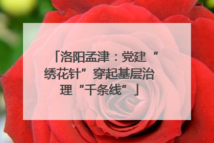 洛阳孟津：党建“绣花针”穿起基层治理“千条线”