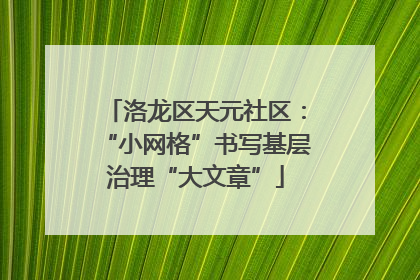 洛龙区天元社区：“小网格”书写基层治理“大文章”