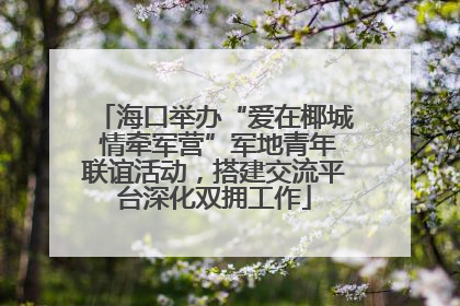 海口举办“爱在椰城 情牵军营”军地青年联谊活动，搭建交流平台深化双拥工作