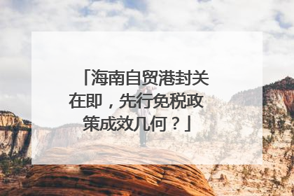 海南自贸港封关在即，先行免税政策成效几何？