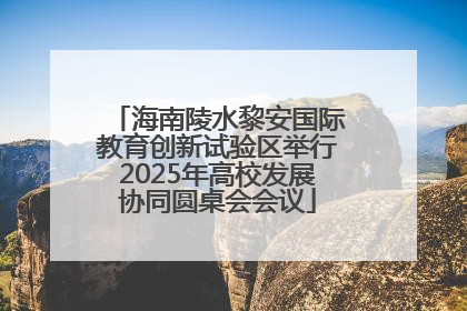 海南陵水黎安国际教育创新试验区举行2025年高校发展协同圆桌会会议