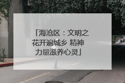 海沧区：文明之花开遍城乡 精神力量滋养心灵
