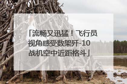 流畅又迅猛！飞行员视角感受数架歼-10战机空中近距格斗