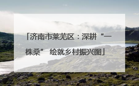 济南市莱芜区：深耕“一株桑” 绘就乡村振兴图