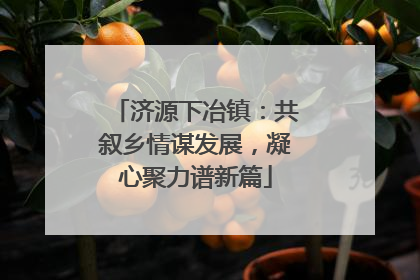 济源下冶镇：共叙乡情谋发展，凝心聚力谱新篇