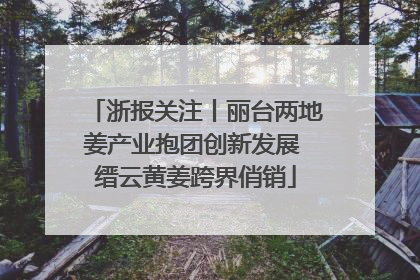 浙报关注丨丽台两地姜产业抱团创新发展 缙云黄姜跨界俏销