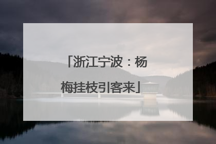 浙江宁波：杨梅挂枝引客来