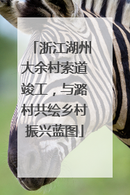 浙江湖州大余村索道竣工，与潞村共绘乡村振兴蓝图