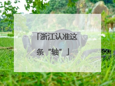 浙江认准这条“轴”