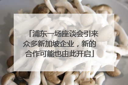 浦东一场座谈会引来众多新加坡企业，新的合作可能也由此开启