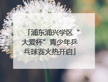 浦东浦兴学区“大爱杯”青少年乒乓球赛火热开启