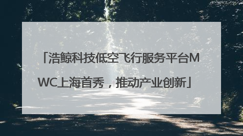 浩鲸科技低空飞行服务平台MWC上海首秀，推动产业创新