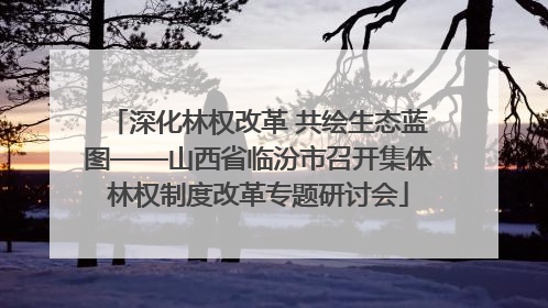 深化林权改革 共绘生态蓝图——山西省临汾市召开集体林权制度改革专题研讨会