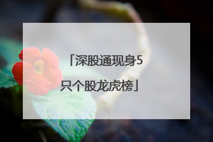 深股通现身5只个股龙虎榜