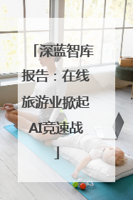 深蓝智库报告：在线旅游业掀起AI竞速战