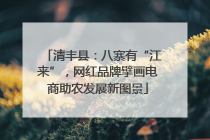 清丰县：八寨有“江来”，网红品牌擘画电商助农发展新图景