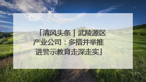 清风头条｜武陵源区产业公司：多措并举推进警示教育走深走实