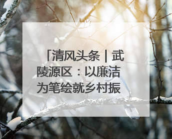 清风头条｜武陵源区：以廉洁为笔绘就乡村振兴新画卷