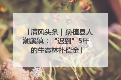 清风头条｜桑植县人潮溪镇：“迟到”5年的生态林补偿金