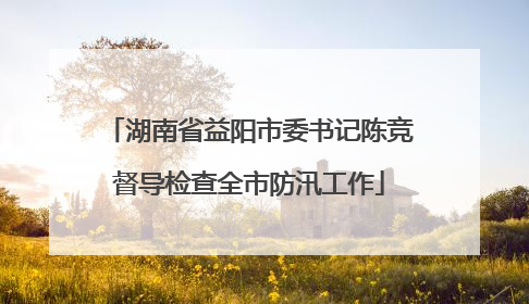 湖南省益阳市委书记陈竞督导检查全市防汛工作