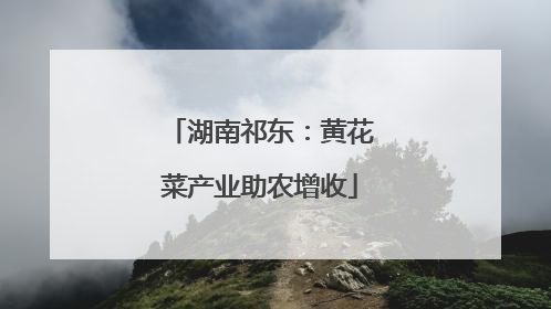 湖南祁东：黄花菜产业助农增收
