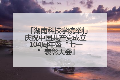湖南科技学院举行庆祝中国共产党成立104周年暨“七一”表彰大会
