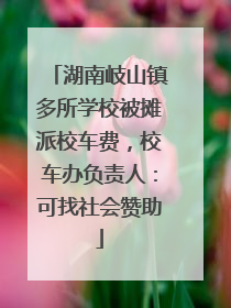 湖南岐山镇多所学校被摊派校车费，校车办负责人：可找社会赞助
