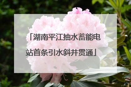 湖南平江抽水蓄能电站首条引水斜井贯通