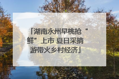 湖南永州早桃抢“鲜”上市 夏日采摘游带火乡村经济