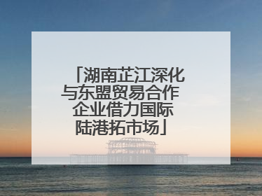 湖南芷江深化与东盟贸易合作 企业借力国际陆港拓市场