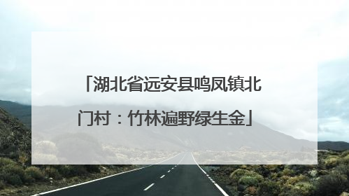 湖北省远安县鸣凤镇北门村：竹林遍野绿生金
