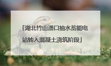 湖北竹山潘口抽水蓄能电站转入混凝土浇筑阶段