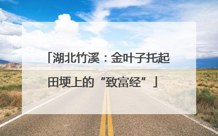 湖北竹溪：金叶子托起田埂上的“致富经”
