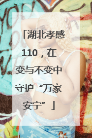 湖北孝感110，在变与不变中守护“万家安宁”