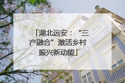 湖北远安：“三产融合”激活乡村振兴新动能