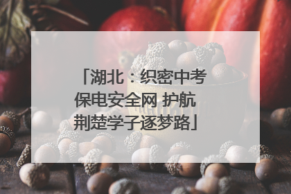 湖北：织密中考保电安全网 护航荆楚学子逐梦路