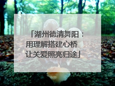 湖州德清舞阳：用理解搭建心桥 让关爱照亮归途