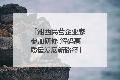 湘西民营企业家参加研修 解码高质量发展新路径