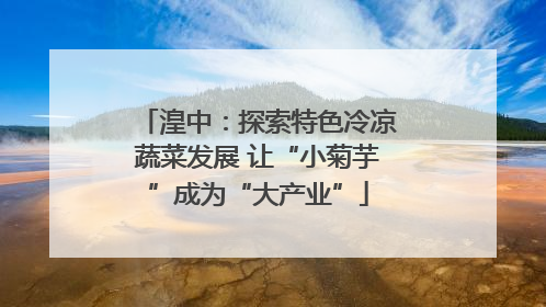 湟中：探索特色冷凉蔬菜发展 让“小菊芋”成为“大产业”