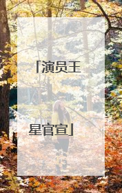 演员王星官宣