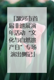漯河市首届非遗展演年活动“文化与自然遗产日”专场演出侧记