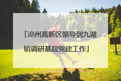漳州高新区领导到九湖镇调研基层党建工作