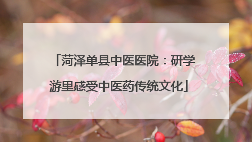 菏泽单县中医医院：研学游里感受中医药传统文化