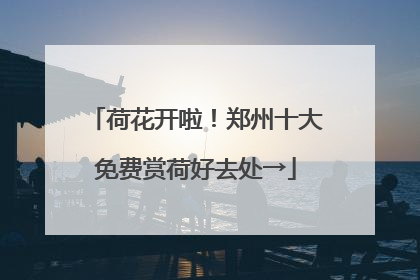 荷花开啦！郑州十大免费赏荷好去处→
